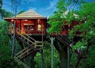 Best of Kerala with Treehouse Stay.jpg